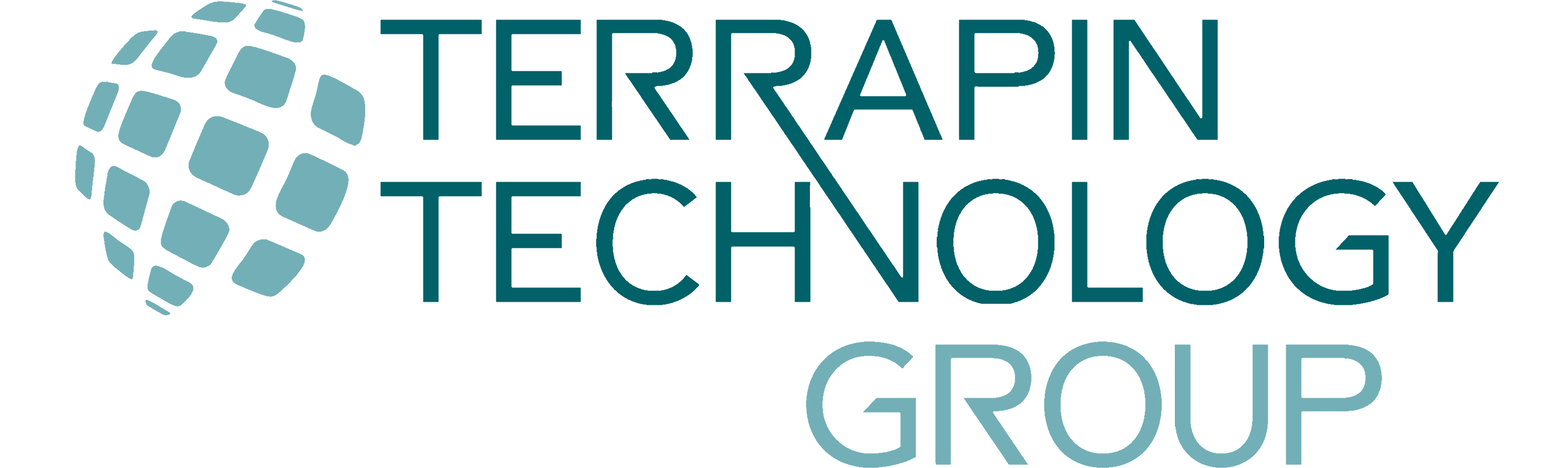 Terrapin Technology Group